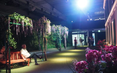 Monets Garten – ein immersives Ausstellungserlebnis