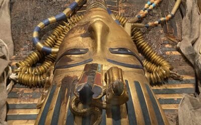 Tutanchamun – ein immersives Abenteuer